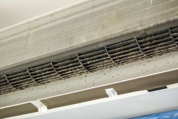 Air Duct Mold Removal in TX